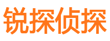 临沭调查取证